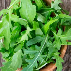 Arugula