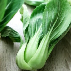Bok Choy