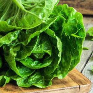 Romaine Lettuce
